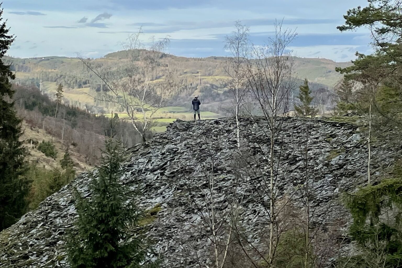 Blaues Glück