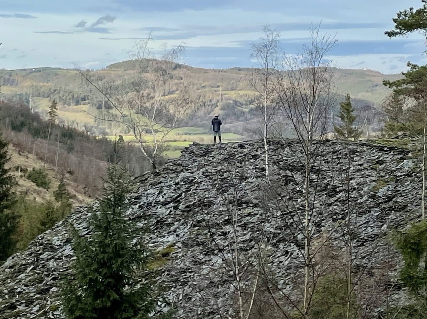 Blaues Glück